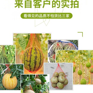 ���l�Ӻ����ϾW������ˮ���W���b�������������С�W�۾��ƾW����