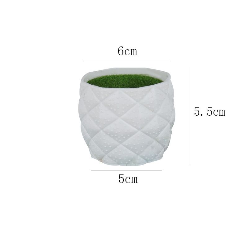 Maceta de Plástico para Cultivo Fuerte y Durable para Decoración del Hogar