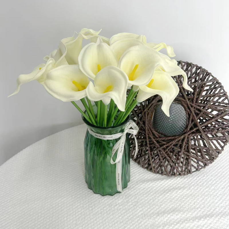 fe47268c5623d391d5fee1201a3827