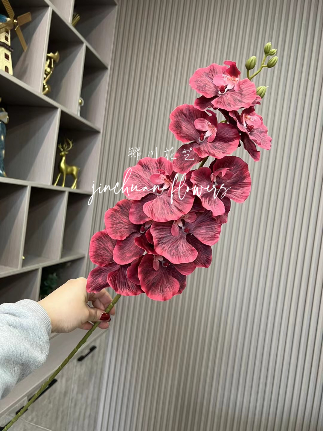 유럽식 9 헤드 호접란 레드