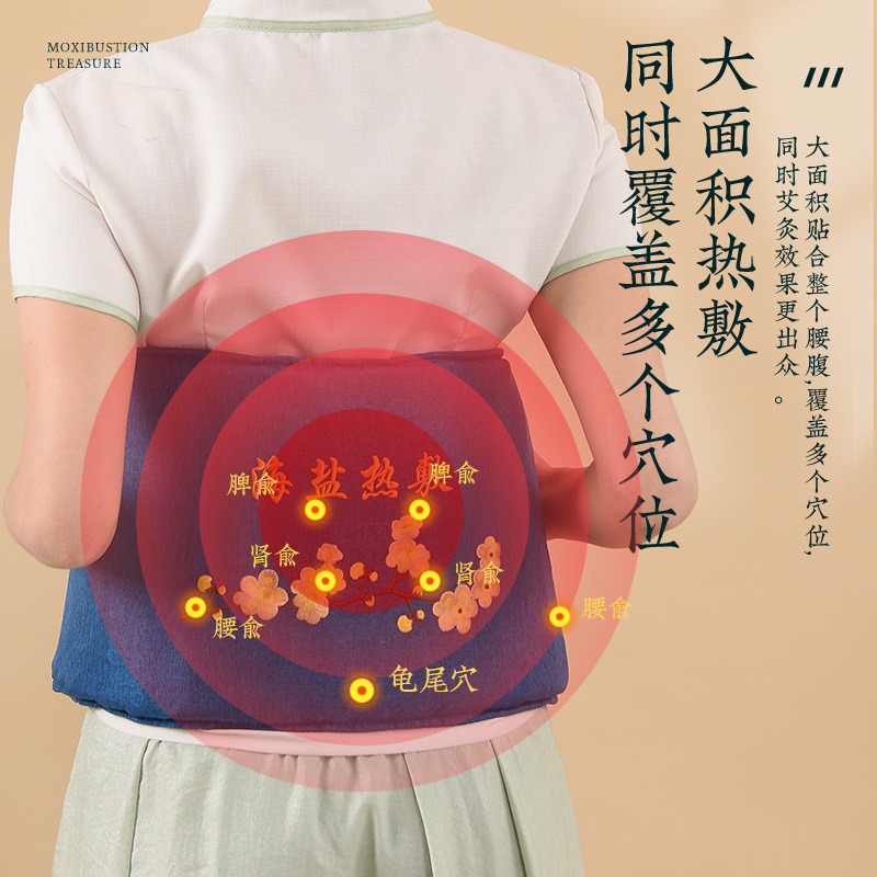 同仁堂电加热艾草盐包热敷粗盐包肩颈腰背全身通用海盐袋热敷包|undefined