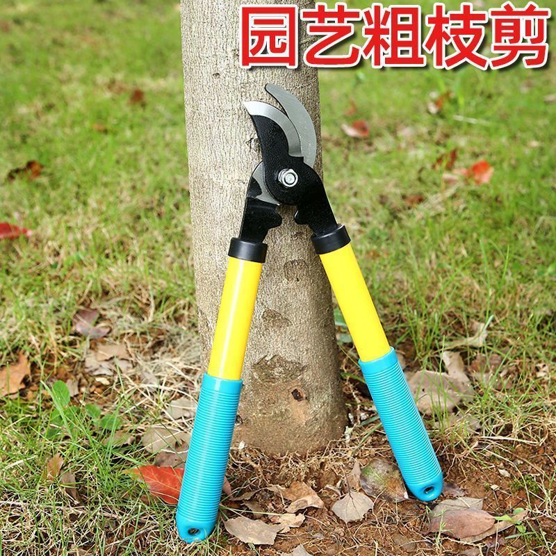 省力有力粗枝剪高枝剪树枝剪刀果树园艺剪刀小高大力剪园林大剪刀
