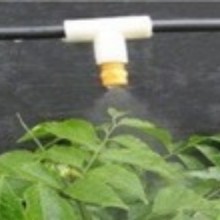 �����F�����^ �ӝ񡢽��؇���һ�wʽ�����F���˹��쾰�����F���^