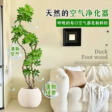 _ľ҃ľ՚˿͏dļGֲB