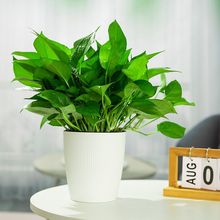 G}҃ȺBȩ՚ˮֲGֲԾGjl