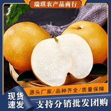 ����ɽ�|�Sˮ��9���b���rˮ�����������R���������ѩ���������