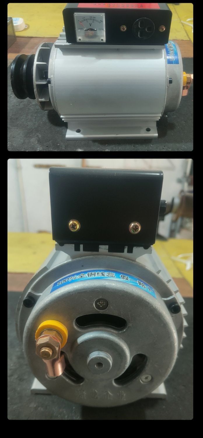 Factory In-Stock Generator 220V Dc Brushless Small Permanent Magnet Dual-Purpose Generator Outdoor Portable Generator