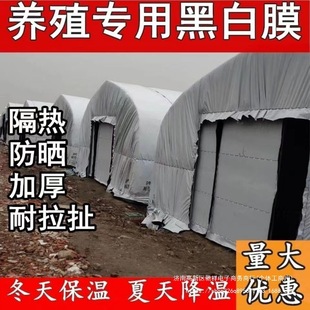 Imported Black and White Film Thickeneded Breeding Greenhouse Black and White Film Reflective Insulation Film Sunscreen Plastic Cloth Edible Fungus Green and White Film