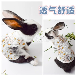 猫猫玩具;猫抓板;猫猫窝/笼/垫