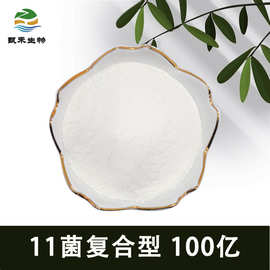 11菌复合100亿益生菌冻干粉乳酸菌粉 益生菌原料 固体饮料添加