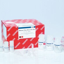 ����Qiagen74034С����RNA��ȡ�Լ���RNeasy Plus Micro Kit 50T