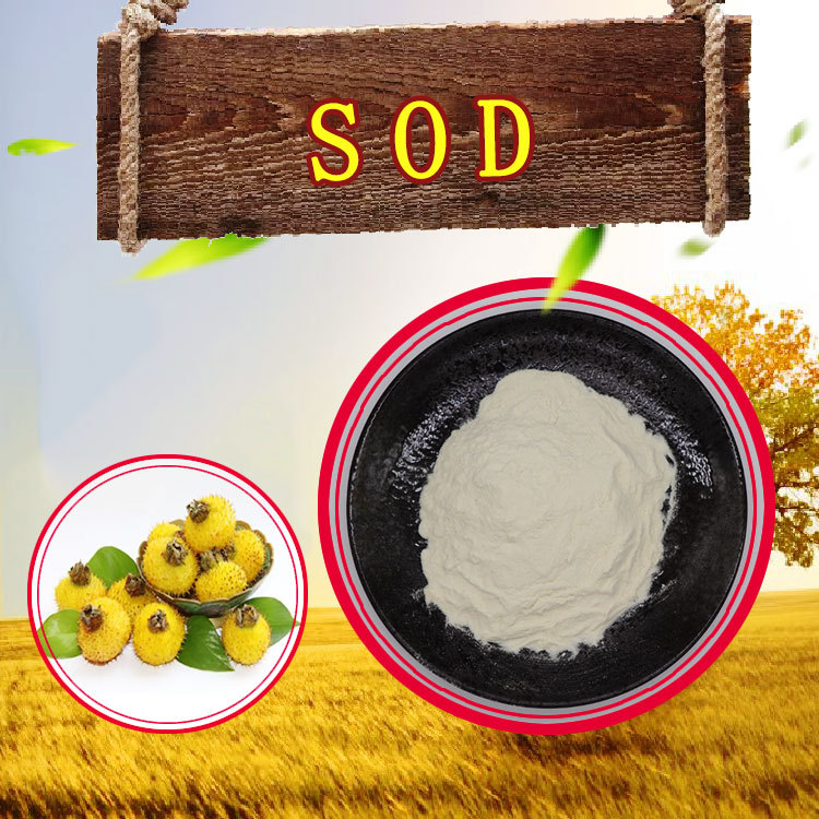 超氧化物歧化酶 2万iu/g品质可靠SOD活性酶100g/袋刺梨提取物