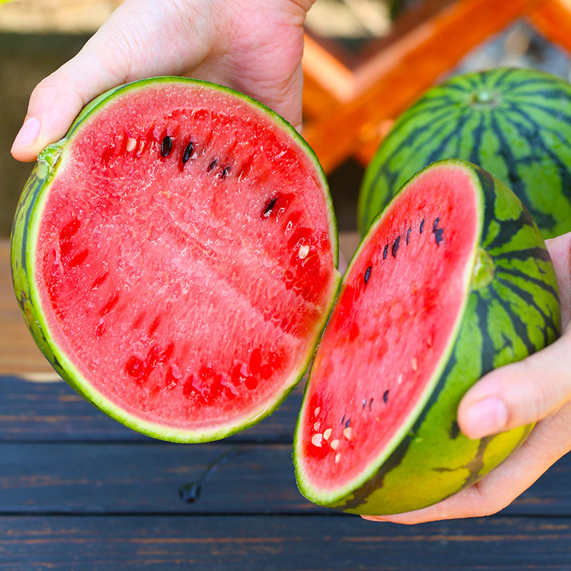 Farmers Freshly Picked Kirin Watermelon, Hand-Peeled Small Cantaloupe, Thin-Skinned, Crisp-Fleshed, Sweet and Refreshing Mini Watermelon, Fresh and Direct from the Farm Farmers Freshly Picked Kirin Watermelon, Hand-Peeled Small Cantaloupe, Thin-Skinned, Crisp-Fleshed, Sweet and Refreshing Mini Watermelon, Fresh and Direct from the Farm