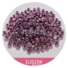 DS19