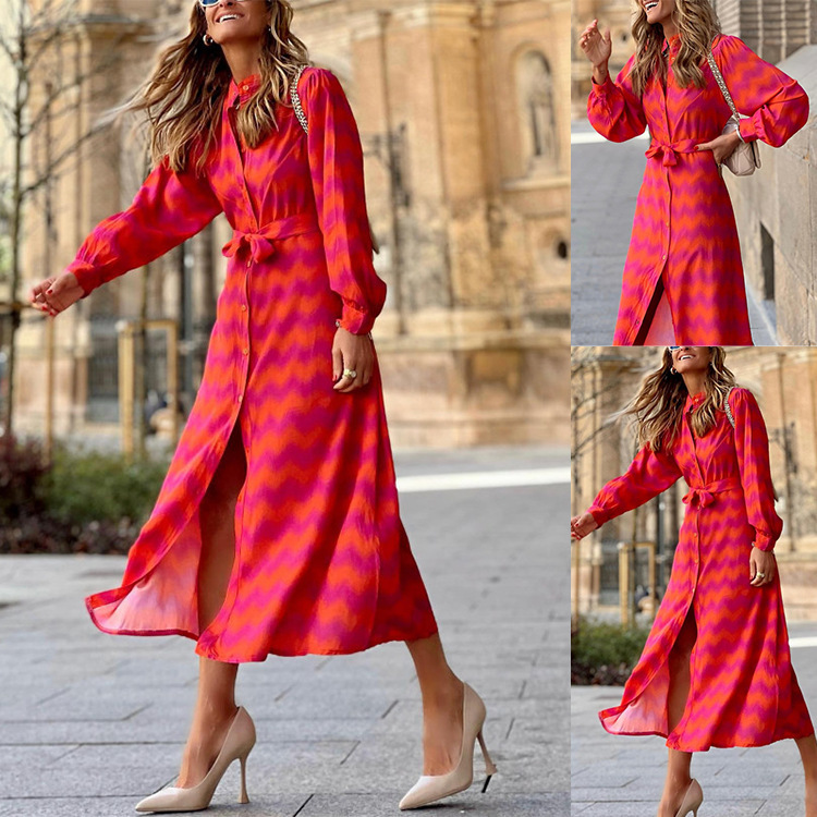 Women's Regular Dress Streetwear Standing Collar Printing Long Sleeve Color Block Midi Dress Holiday Daily display picture 1