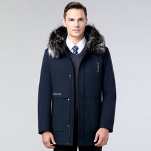 2024��������ë�I�ɿ˷������e��ů�|��ë��đ�ɲ����������b����