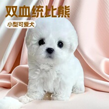 ���N������Ȯ���w���pѪ�y����Ȯ̩����С�Ͳ豭Ȯ���w��������