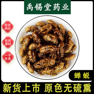 �s͑��ș�����l��Ʒ��؛ˮϴ���s���s���x͑�s��֪��Ƥ�����Mĥ��