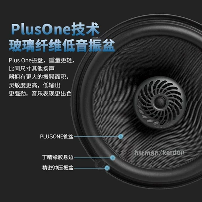 and Low Frequency Speaker – Car horn/tweeter
