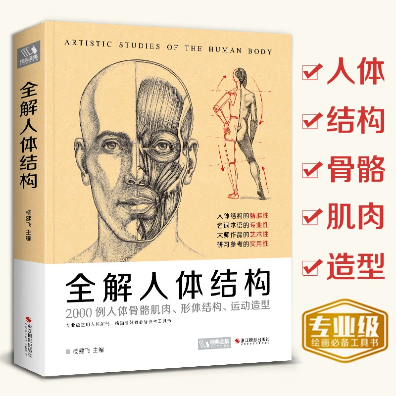 Classic physiological art teaching aids, human body structure, anatomy