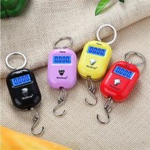 微型迷你小电子秤手提称挂秤快递吊勾称便携钥匙扣买菜25kg