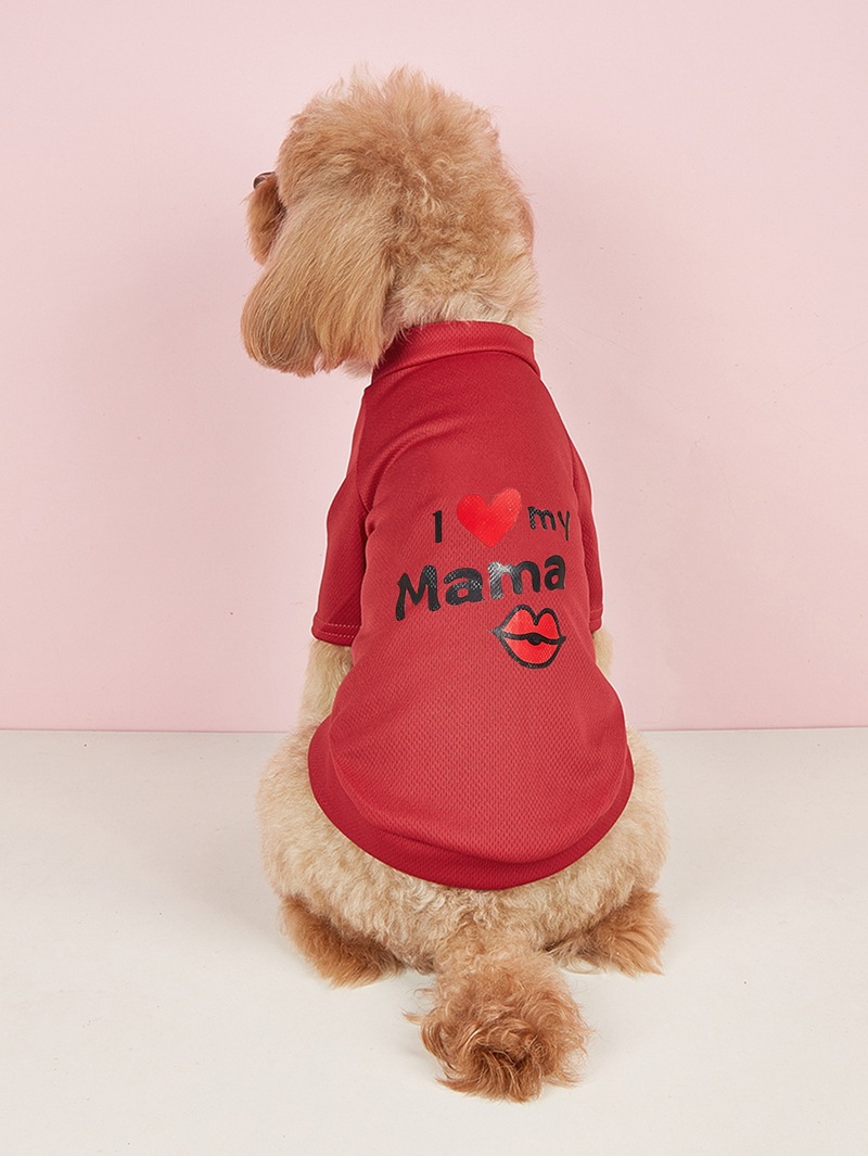 Simple Style Polyester Letter Heart Shape Pet Clothing display picture 9