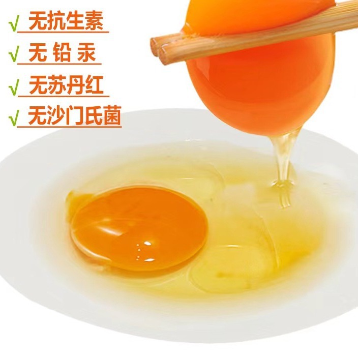 可生食无抗富硒红心无菌土鸡蛋新鲜高品质 10枚试吃装