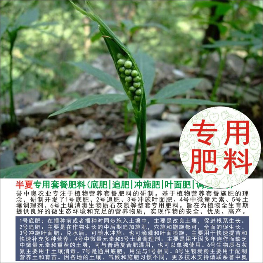 50�����а°���ר���л��ʸ��Ϸʵ׷�׷��Ҷ��ʳ�ʩ��ˮ�ܷ�