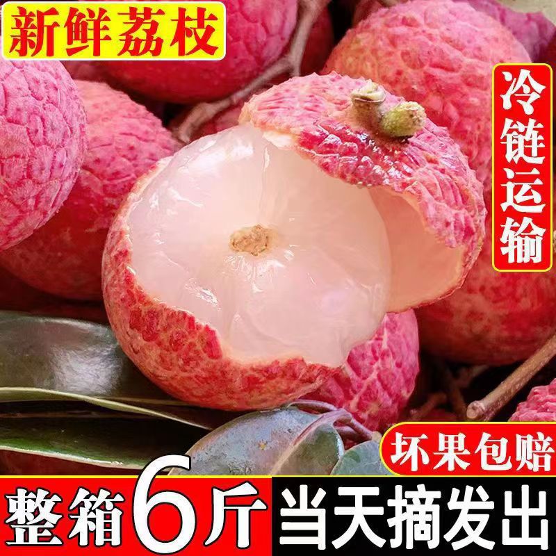 Freshly picked lychee 6 jin old tree black leaf seasonal pregnant women fruit Maoming Gaozhou whole box free shipping 5 jin