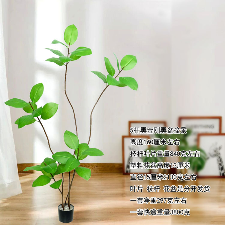 Plantas de simulación bonsai decoración interior y exterior plantación verde plantación de bambú simulación de plantación en maceta plantación de dormitorio plantación de suelo image 5
