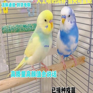 ���^��Ƥ�W�^���B���B���fԒ���W�^���B����С�Bĵ�����P�^�p����