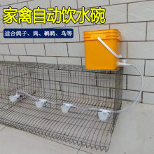 兔用自动饮水碗兔子喂水碗饮水器兔笼喝水碗饮水盒水槽喝水盒笼养