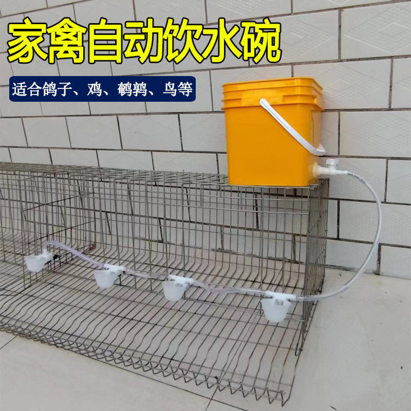 兔用自动饮水碗兔子喂水碗饮水器兔笼喝水碗饮水盒水槽喝水盒笼养