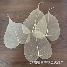 ��Ȼ�����~�}��ˇ�N���~�Ӳ��ϕ������~Ƭ�����~�˱�����Ѻ����