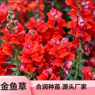 ���~�ݷN�� Դ�^�S��ֱ�N �ļ����N �����쾰ͥԺ�����^�p���ܷN