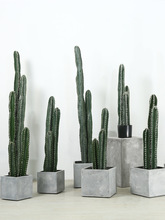 ���W�b�ֲ��W�t���ͷ�������������������߼����Ԕ[����ؾGֲ