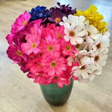 3D��ӡ24�䲨˹�շ��滨��Y�Ҿ��b�ˇ���������l�S��ֱ�N