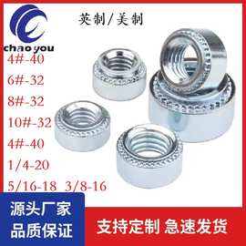 美制英制环保压铆螺母 压板螺母压卯件4#-40 6#8#10#-32牙1/4-20