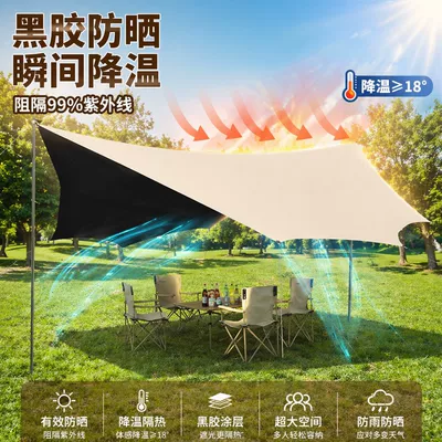 Avtomobil yan çətirləri: Tent Canopy with Black Coating for