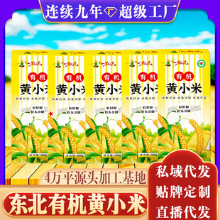 �|�������ЙC�SС��500��1���������s�Z�ּZ����С�����S�����l