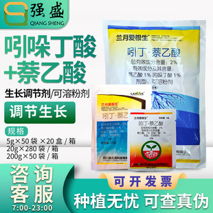 �m�� �۸���2%�Ŷ�&middot;������Ǥ�����Կ����������a���L�{����