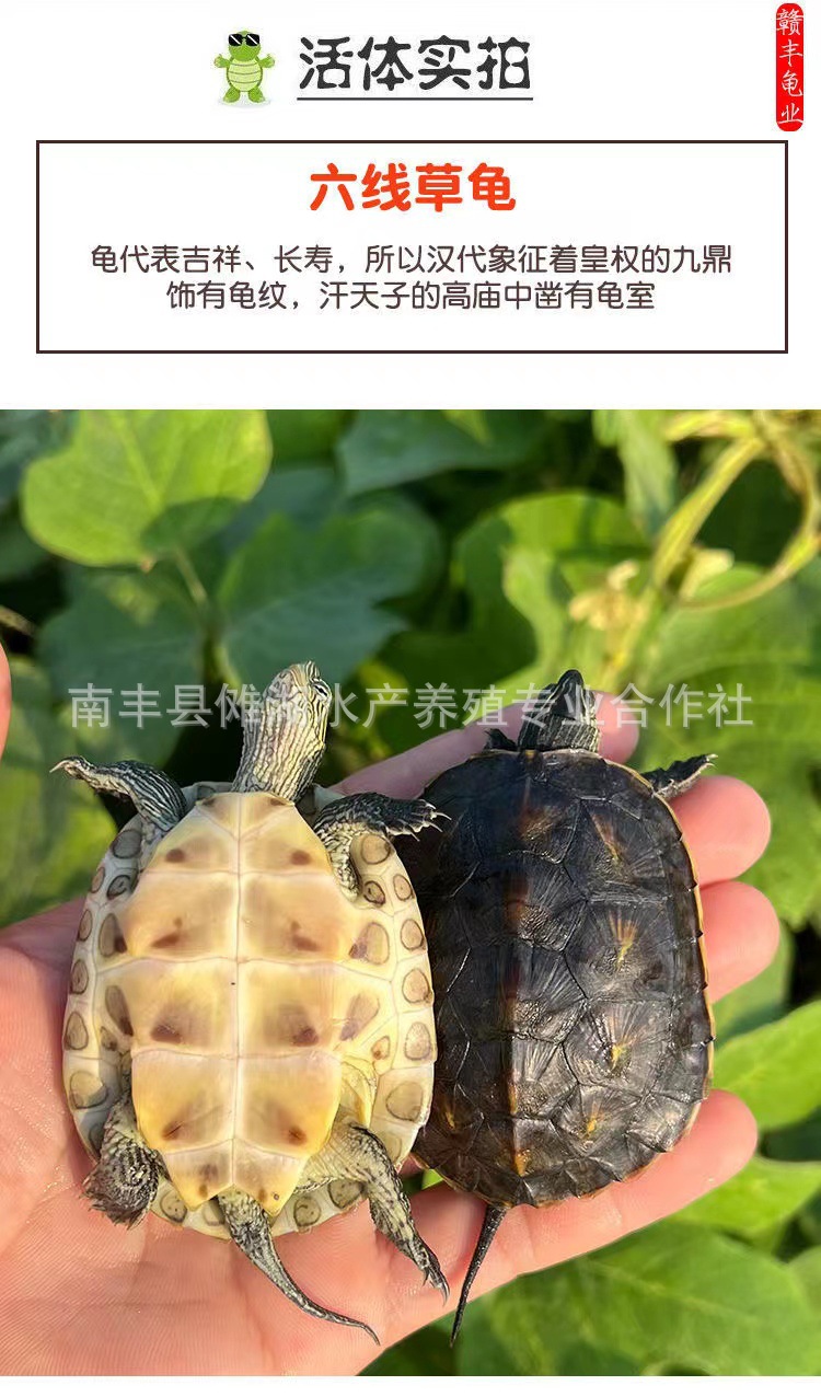 微信图片_20221104125833