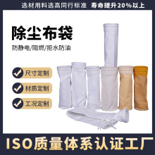 三防酸碱水泥厂钢厂电厂垃圾焚烧脉冲针刺毡除粉尘布袋除尘器
