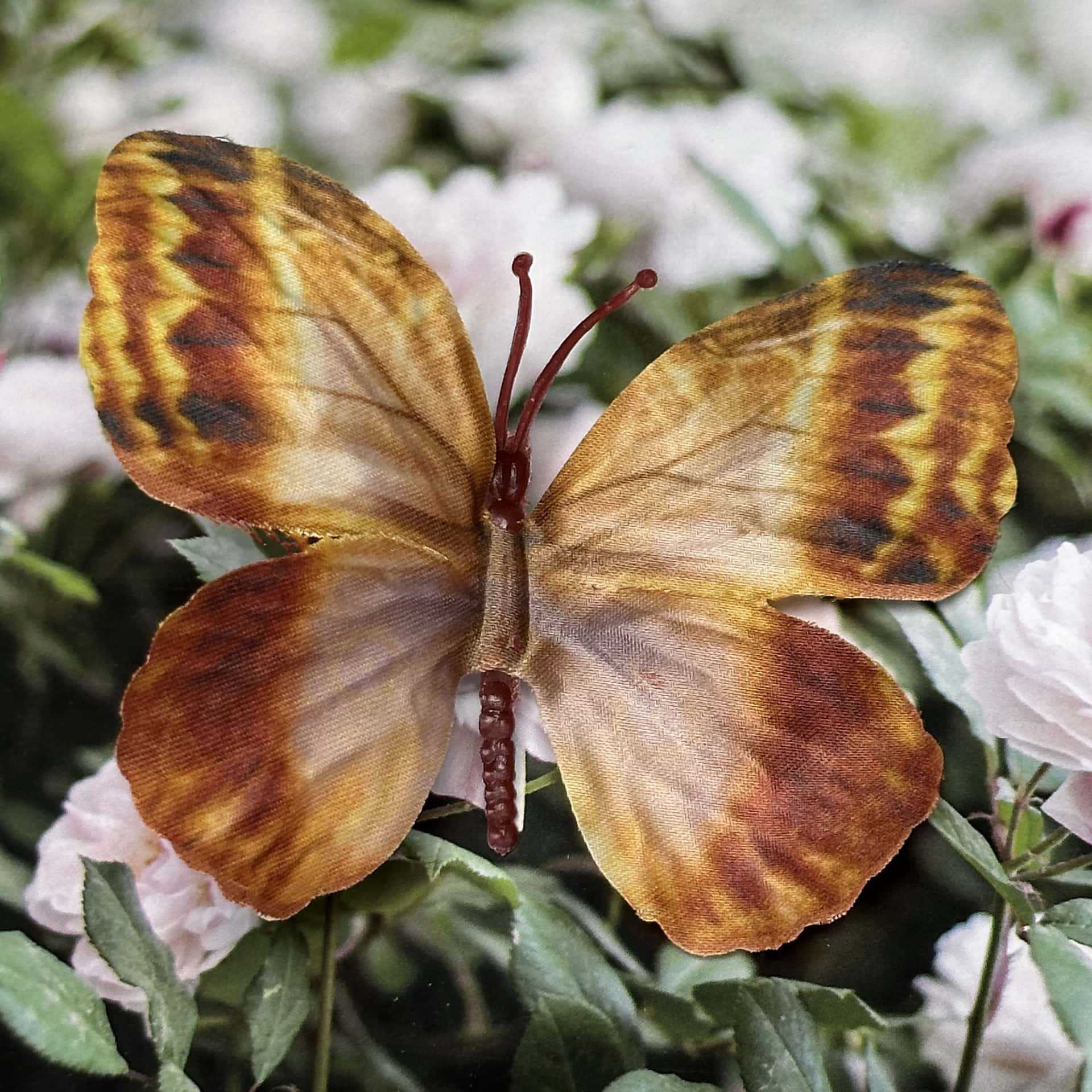 Seda 11CM color mariposa talla grande 22