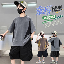 ��ͯ�ļ����b2026�¿ͯ�\�����e���͹Ŷ���T�����bѝ�ɼ���