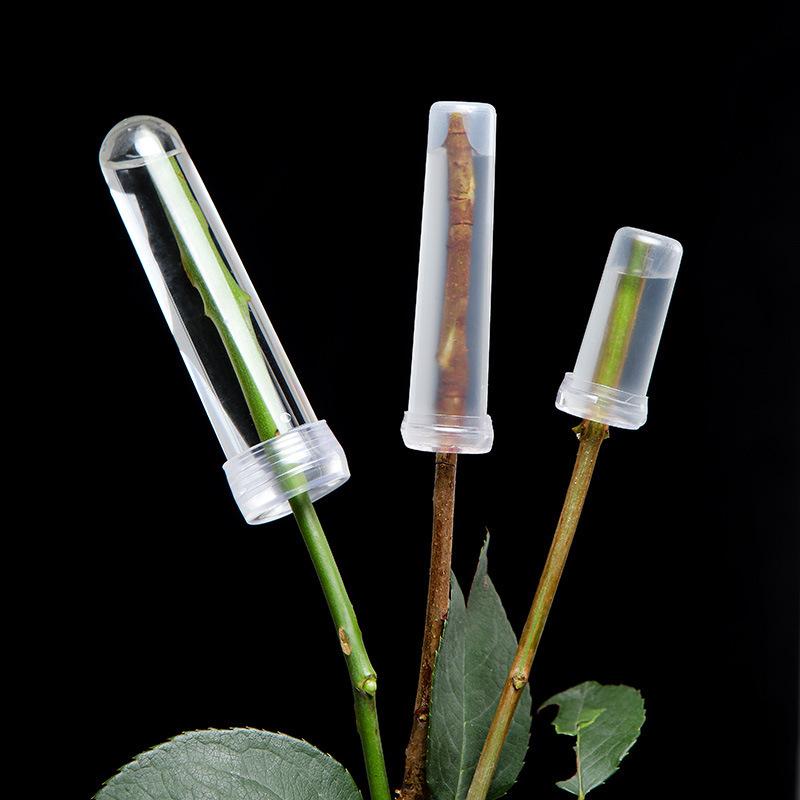 Tubo de nutrición de flores, cultivo de flores, conservación de agua, almacenamiento de agua, almacenamiento de agua, tubo transparente, flores, tubo de conservación de plástico, floristería, materiales florales image 3