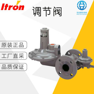 ���Sֱ�� �� Itron ���w�{���y ���I�{���� 133 und 233