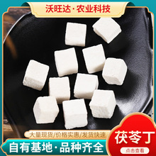 �����|�����߶�500g������x���İ׶�ɽ����ș�ķNֲ���؏S�����l