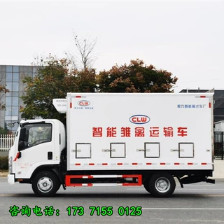生猪恒温猪笼车 国六江铃畜禽车 养殖场恒温运猪车 猪苗运输车