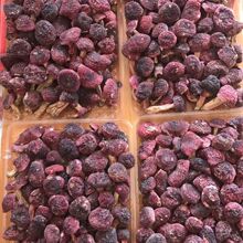 ���óԸ�؛���l���t��Ұ���tĢ�����ӹ���؛�t����؛��������ɽҰ